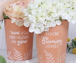 Wholesale Terracotta Vases